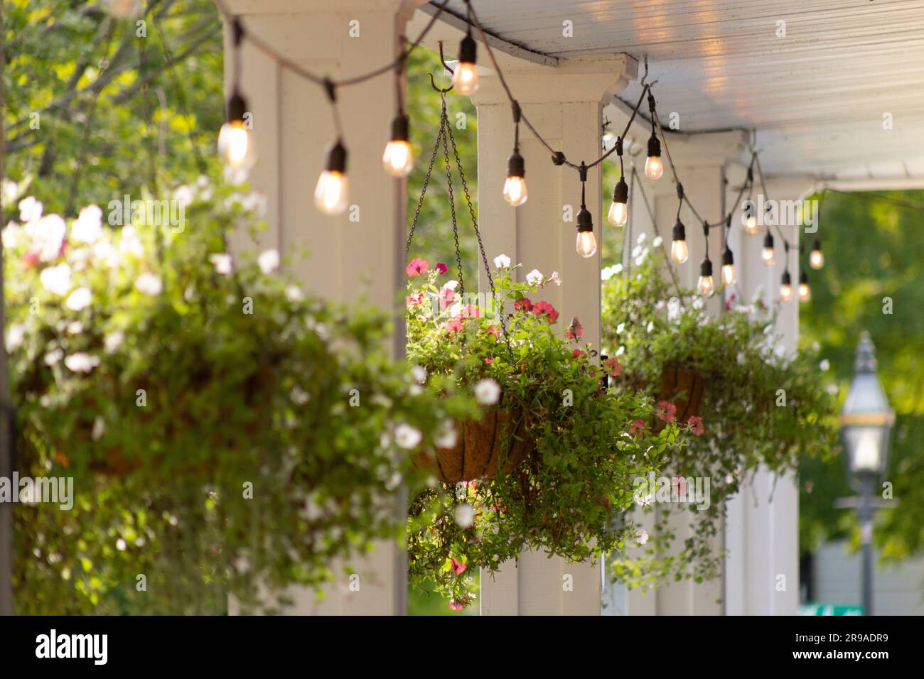 Cestini appesi sul portico anteriore con luci decorative, Grafton, Vermont, USA Foto Stock