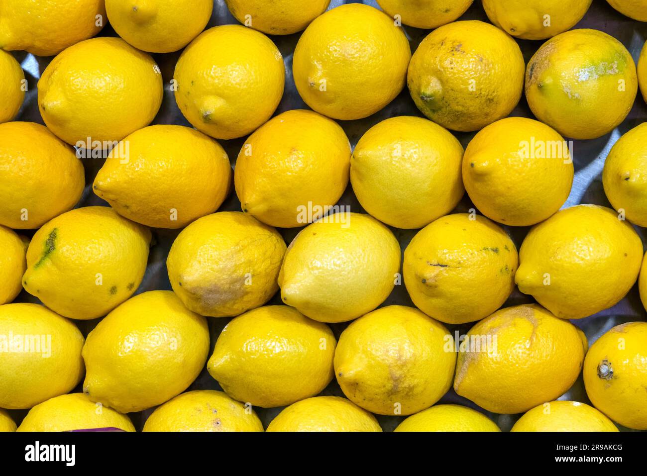 Limoni freschi per la vendita su un mercato in Spagna a Madrid Foto Stock