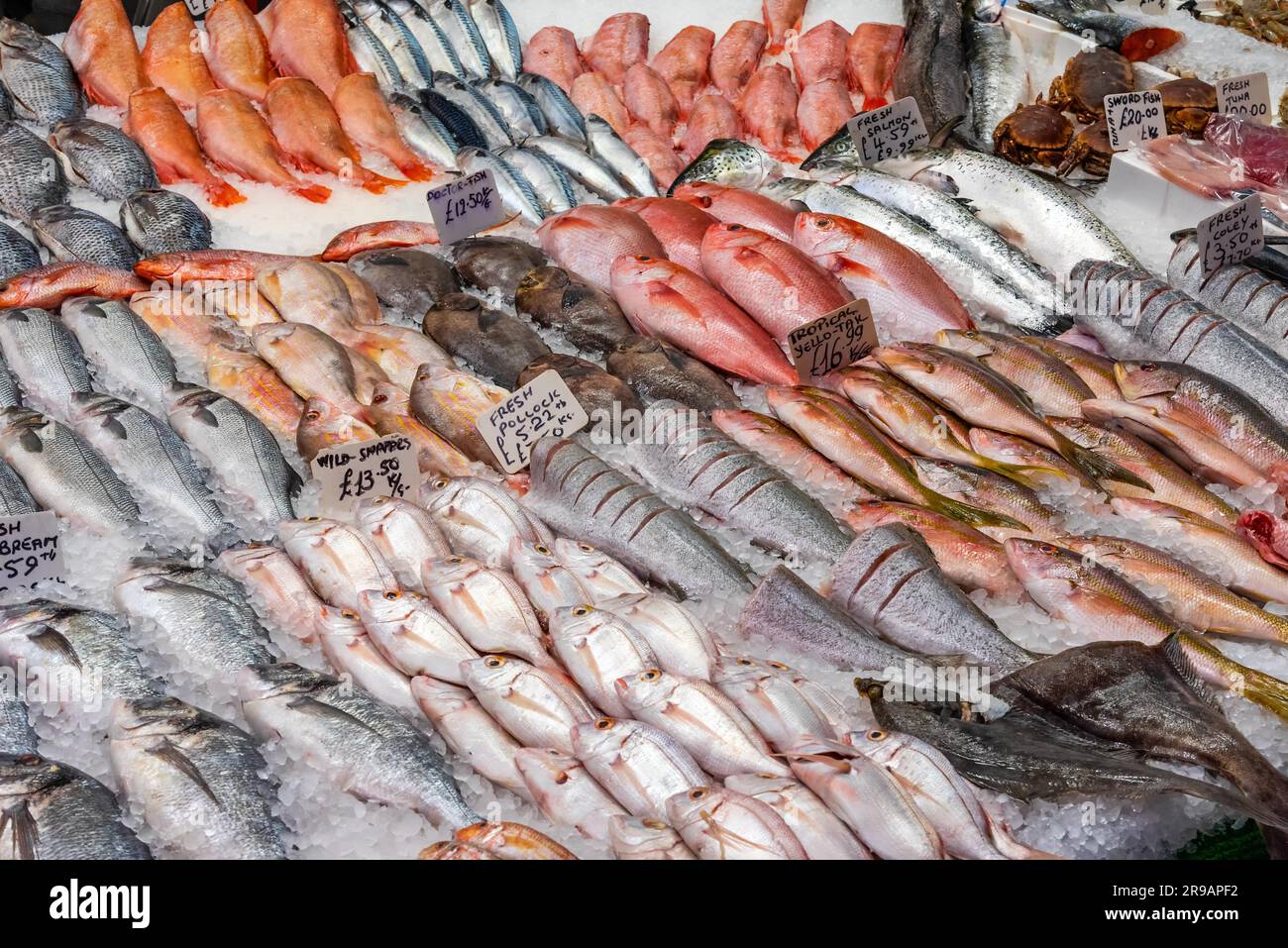 Pesce fresco in vendita in un mercato di Londra Foto Stock