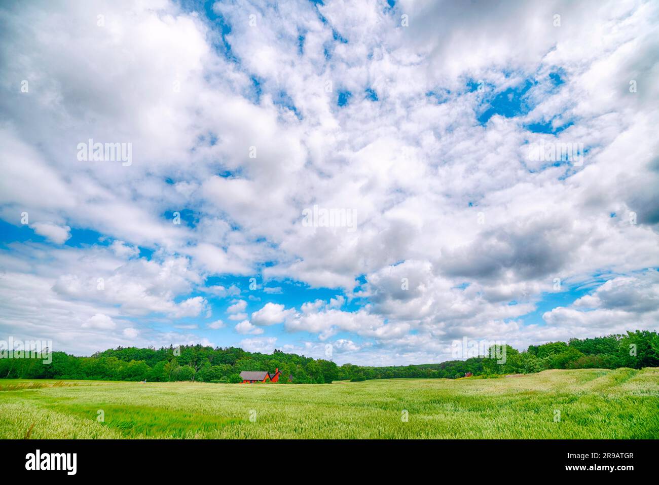 Paesaggio di campagna con una piccola fattoria in colori rosso circondato da verdi campi sotto un cielo nuvoloso Foto Stock