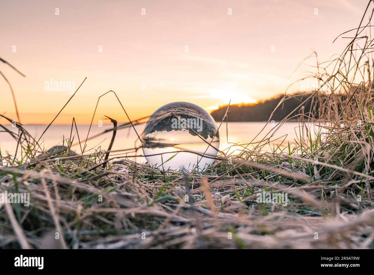 Sfera di cristallo in erba congelate da un lago in l'alba in un freddo giorno Foto Stock
