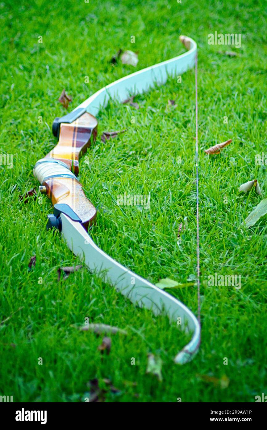 Arco sportivo in erba verde in autunno con un manico marrone e foglie sul prato Foto Stock