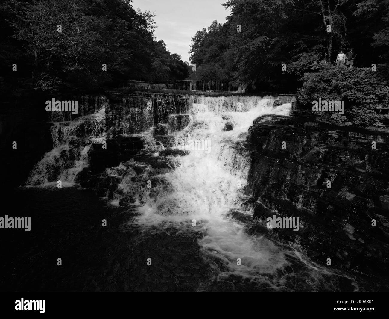 Uno scatto in scala di grigi di una splendida cascata circondata da alberi Foto Stock