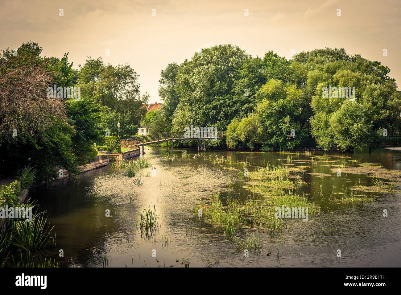 Paesaggio idilliaco lago con un piccolo ponte Foto Stock