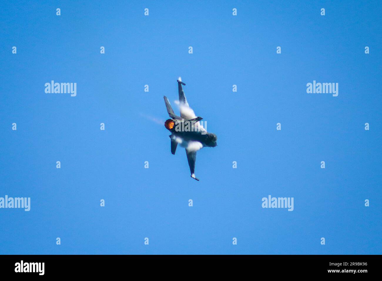 L'incredibile Falcon combattente! Foto Stock