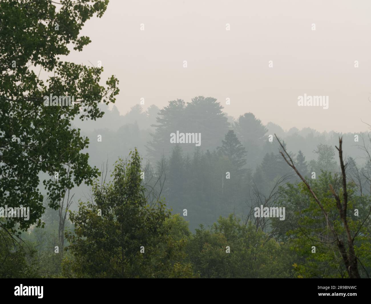 Smog causato dagli incendi boschivi nel nord del Québec. Rawdon, Quebec, Canada Foto Stock