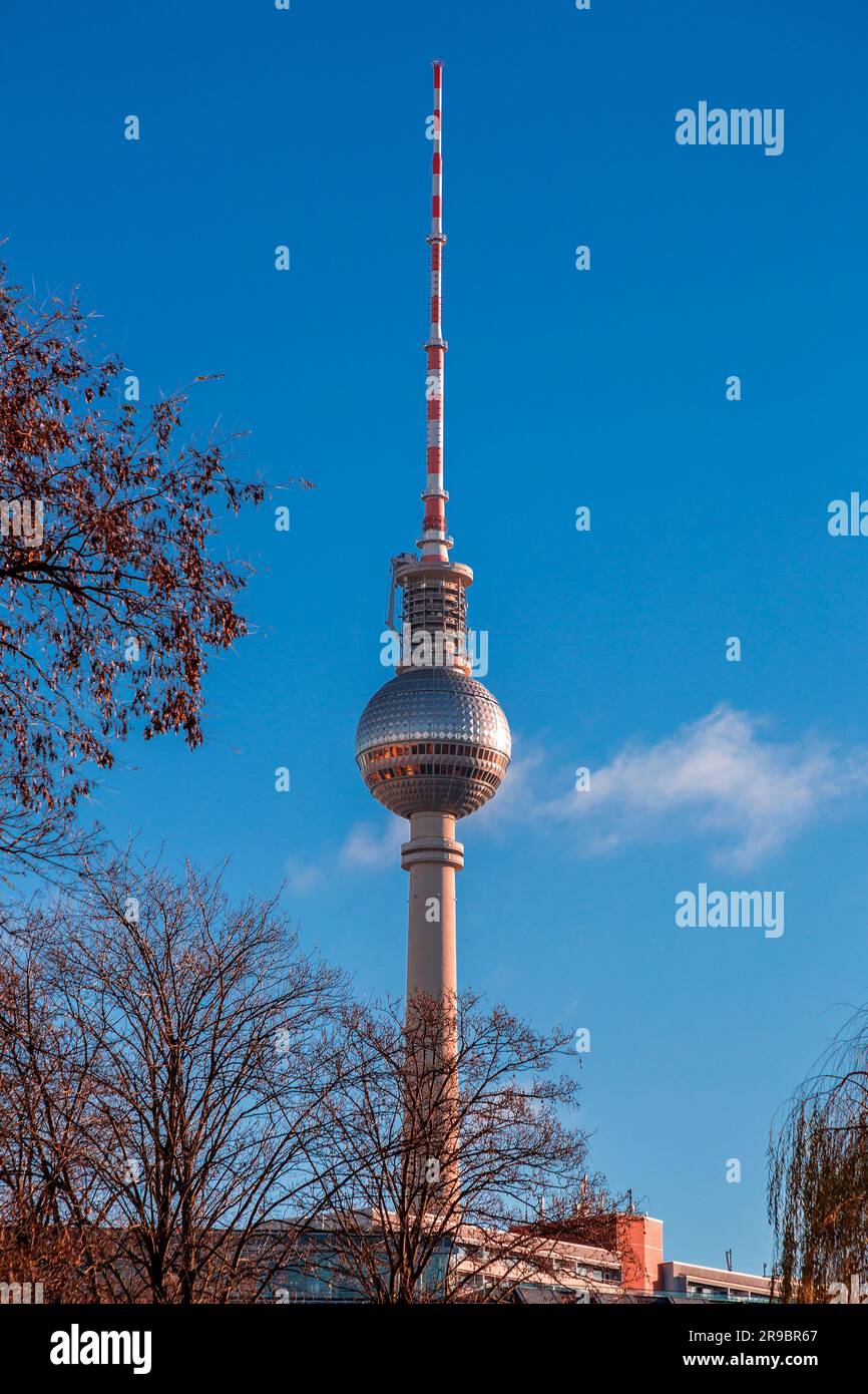 Torre della Televisione di Berlino o Berliner Fernsehturm di notte. L'iconica struttura alta 368 metri fu aperta nel 1969. Foto Stock