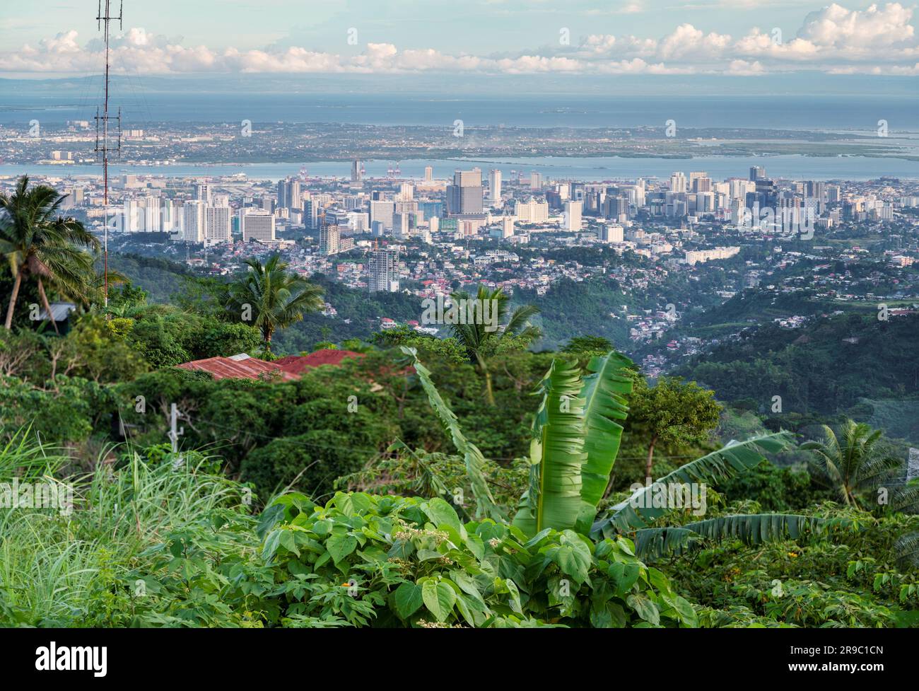 Prima del tramonto la luce del sole bagna gli edifici più alti della capitale di Cebu, guardando attraverso il canale del mare fino all'Isola di Maktan, sopra le palme e il lussureggiante fogliame Foto Stock