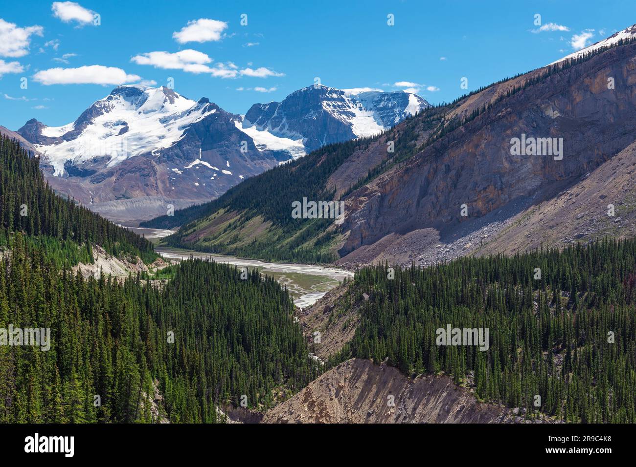 Columbia Icefield Skywalk paesaggio sopra la foresta di pini, il fiume Athabasca e le Montagne Rocciose, il parco nazionale di Banff, Canada. Foto Stock