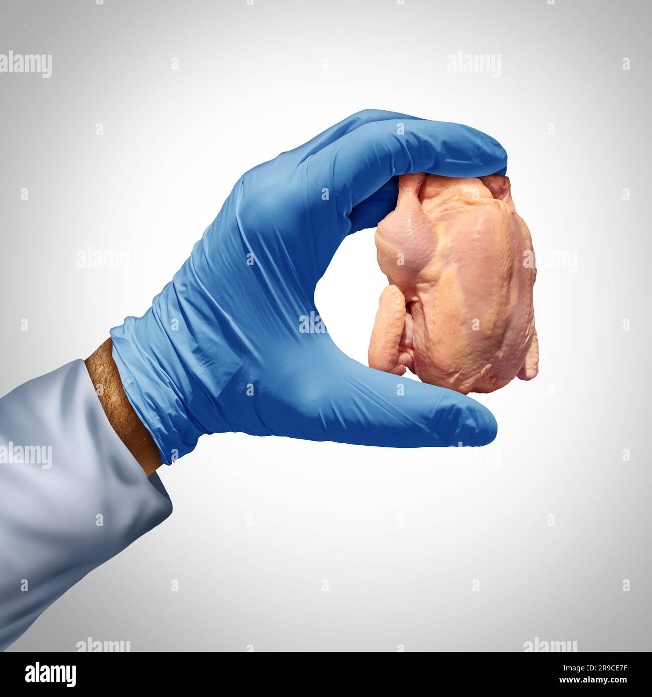 Pollo prodotto in laboratorio e carne coltivata in laboratorio come carne coltivata o coltivata a cellule e alimenti in vitro e alimenti prozieni alternativi con scien biotecnologico Foto Stock