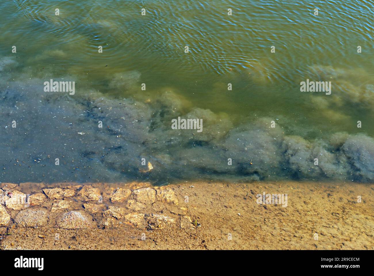 Inquinamento delle acque del Danubio a Novi Sad. Scarico diretto delle acque reflue nel fiume. Messa a fuoco selettiva. Foto Stock