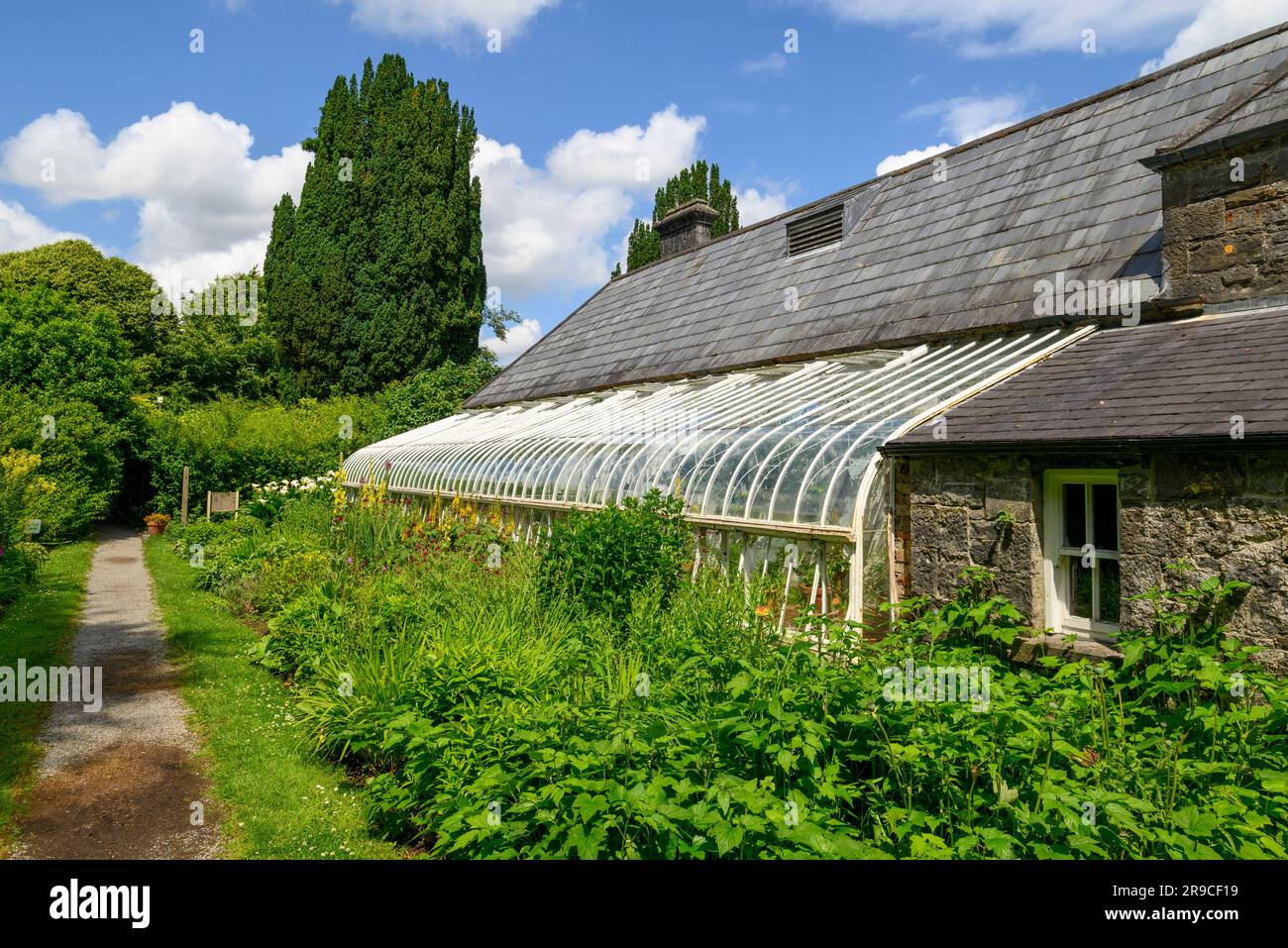 Serra Vinery presso il National Museum of Country Life, Castlebar, County Mayo, Irlanda Foto Stock