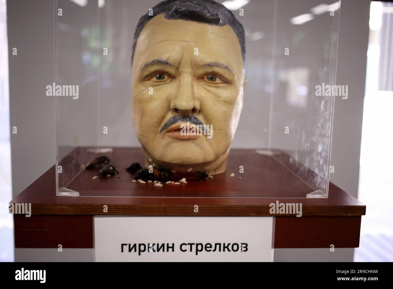 Capo artificiale di Igor Strelkov (figura militare, statale e politica russa, pubblicista. Un dipendente dell'FSB della Russia, una figura dell'autoproclamata DPR) circondato da scarafaggi del Madagascar è visto alla mostra "Heads" a Uspenskaya 60. Mostra-spettacolo 'Heads' di Anton Tkachenko ha aperto a Uspenskaya 60. I visitatori possono guardare le teste artificiali dei media della Federazione russa, circondati da scarafaggi del Madagascar, prendere parte a una performance - versare la terra nella bara con Vladimir Putin. L'obiettivo è far provare al visitatore il disgusto per le figure pubbliche Foto Stock