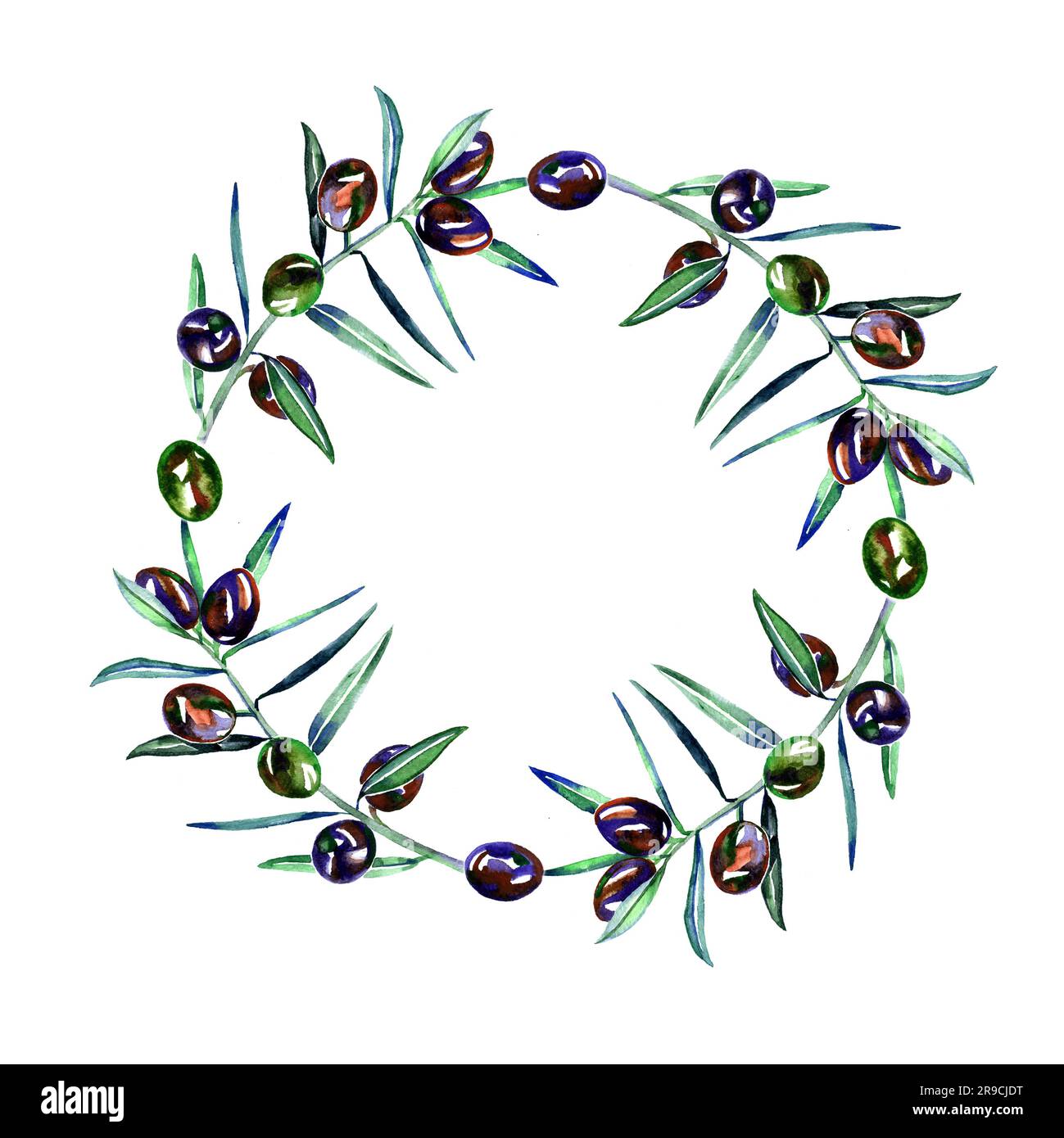 Corona di rametto d'oliva ad acquerello. Cornice floreale naturale disegnata a mano. Foto Stock