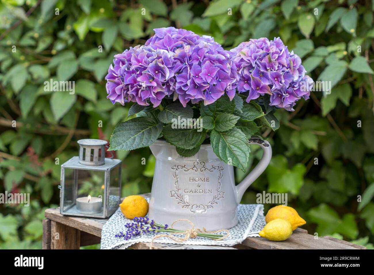 composizione floreale con fiore di ortensia viola in brocca vintage e limoni Foto Stock