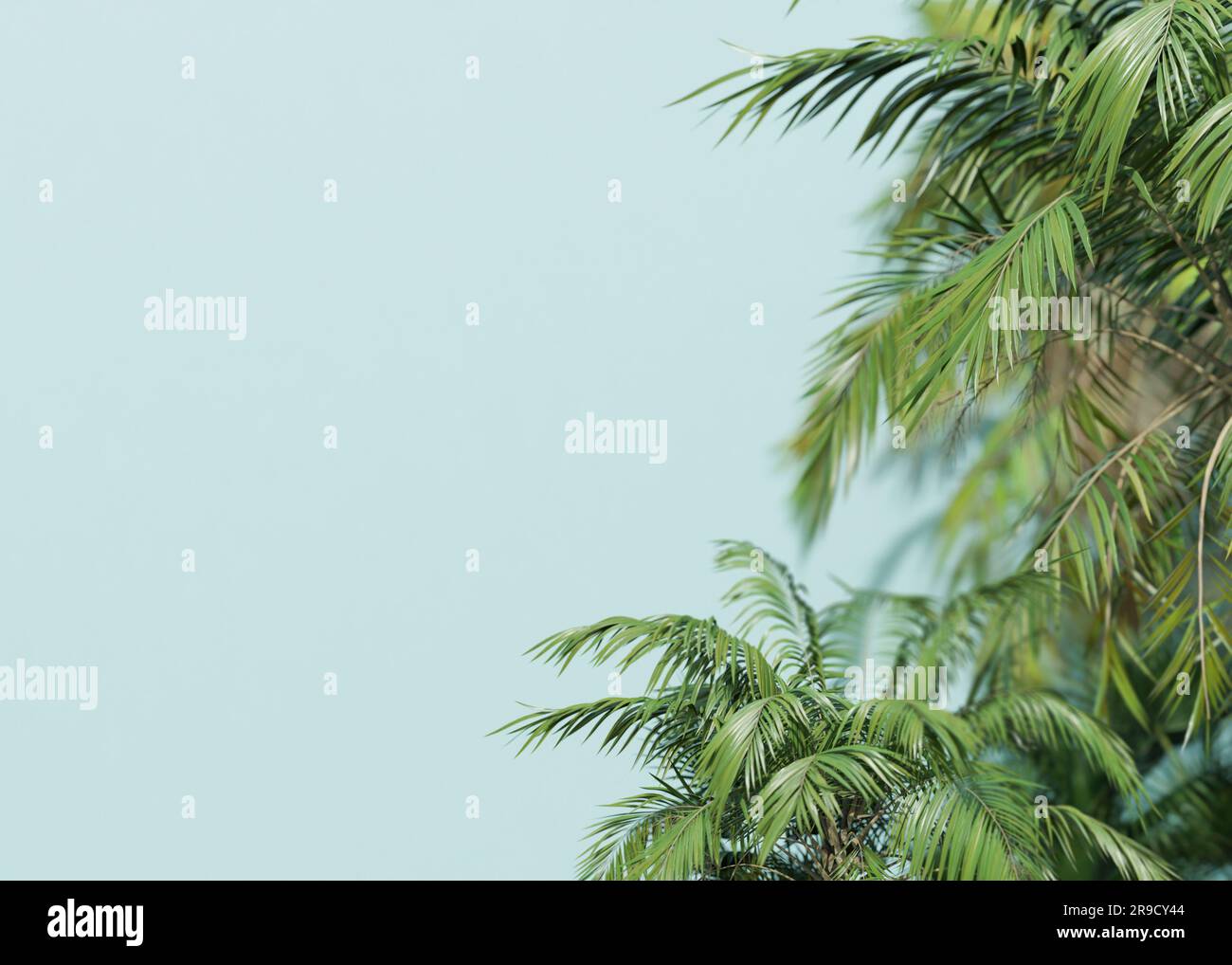 Sfondo con palme e spazio vuoto per il testo. Bordo laterale con spazio di copia. Foglie di palmo realistiche. Rendering 3D. Foto Stock