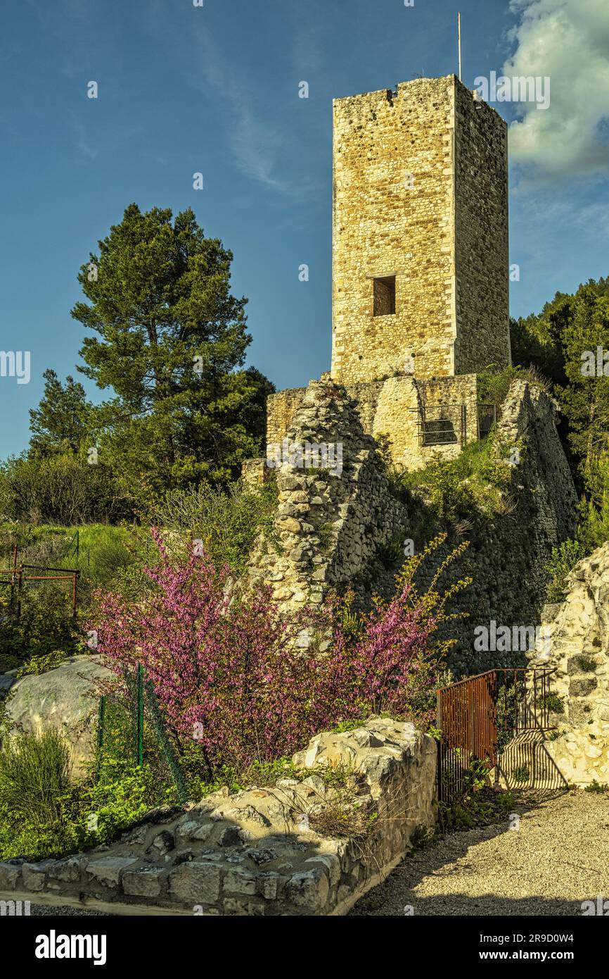 I ruderi del castello di Cantelmo, circondati da una pineta alle pendici del Monte Morrone, si affacciano sul centro storico di popoli. Abruzzo Foto Stock