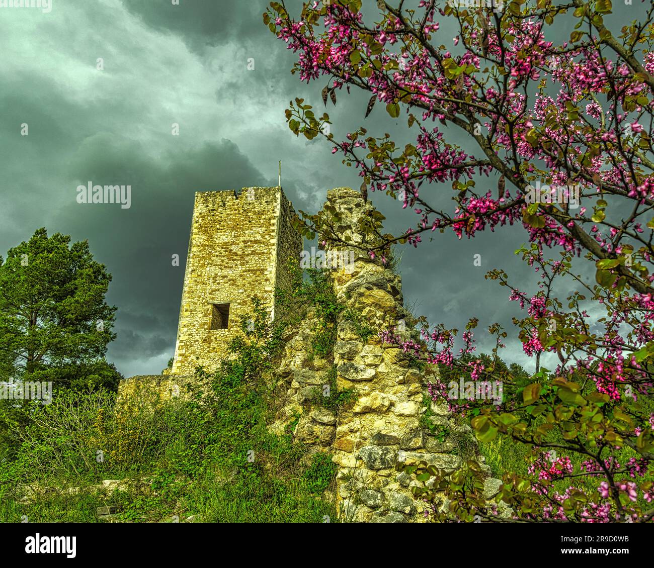 I ruderi del castello di Cantelmo, circondati da una pineta alle pendici del Monte Morrone, si affacciano sul centro storico di popoli. Abruzzo Foto Stock