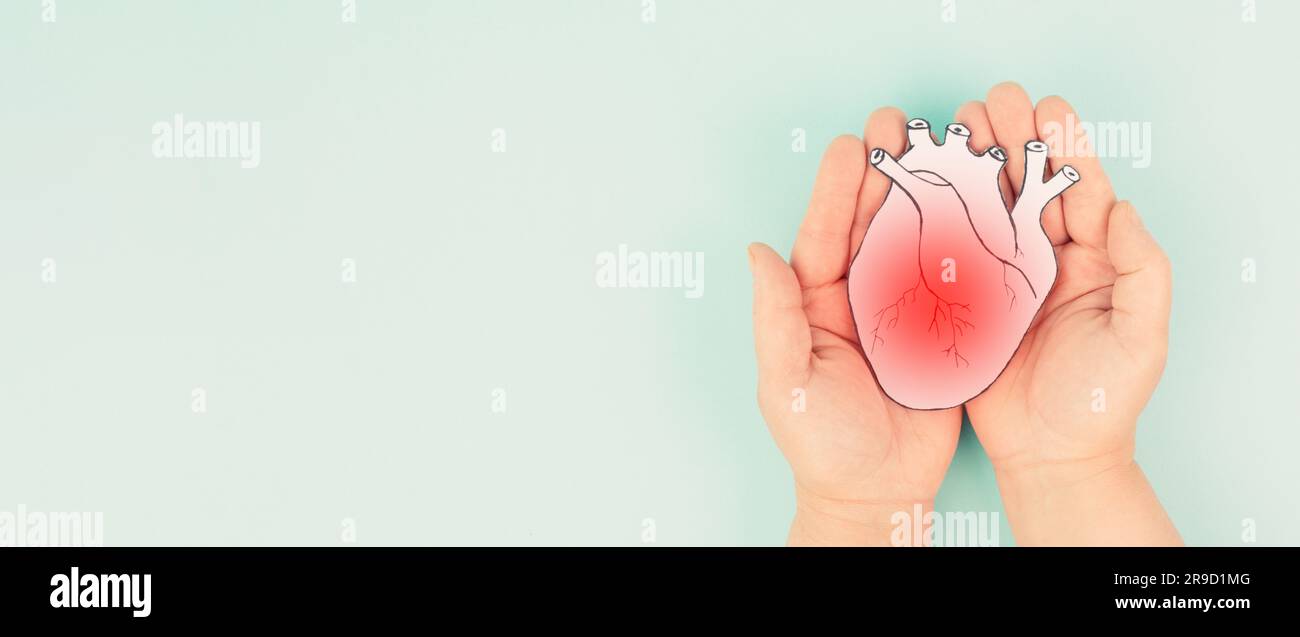 Infarto, malattia della miocardite, infiammazione del muscolo, trombosi e stress cardiaco, mani che tengono l'organo umano Foto Stock