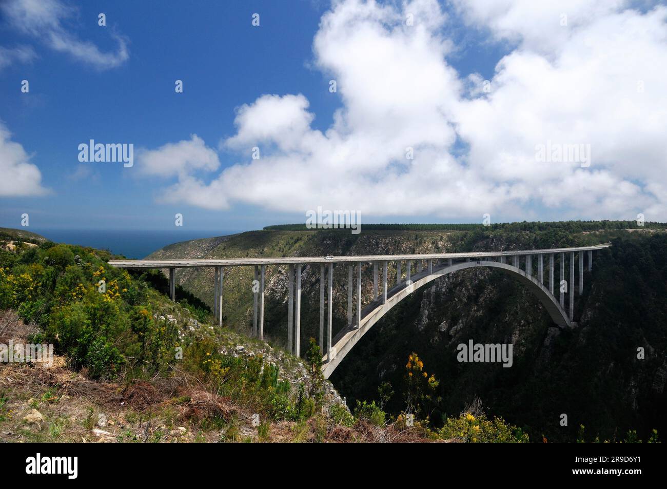 Bloukrans Bridge, Bungy Jumping, Storms River Mouth, Garden Route, Eastern Cape, Sudafrica Foto Stock