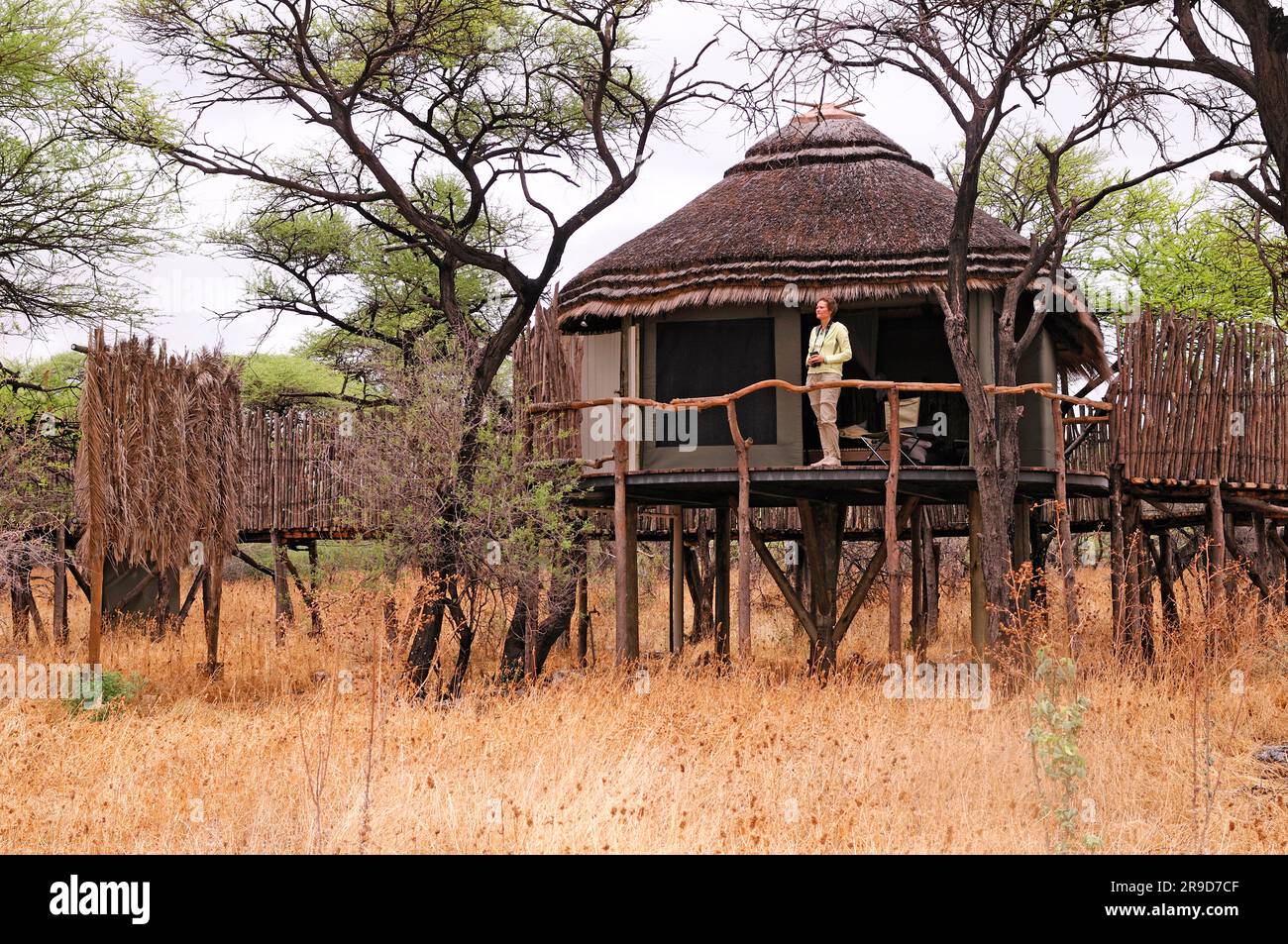 Campo con tenda in cima all'albero di Onguma, campo safari di Onguma, vicino al Parco Nazionale di Etosha, regione di Kunene, Namibia Foto Stock