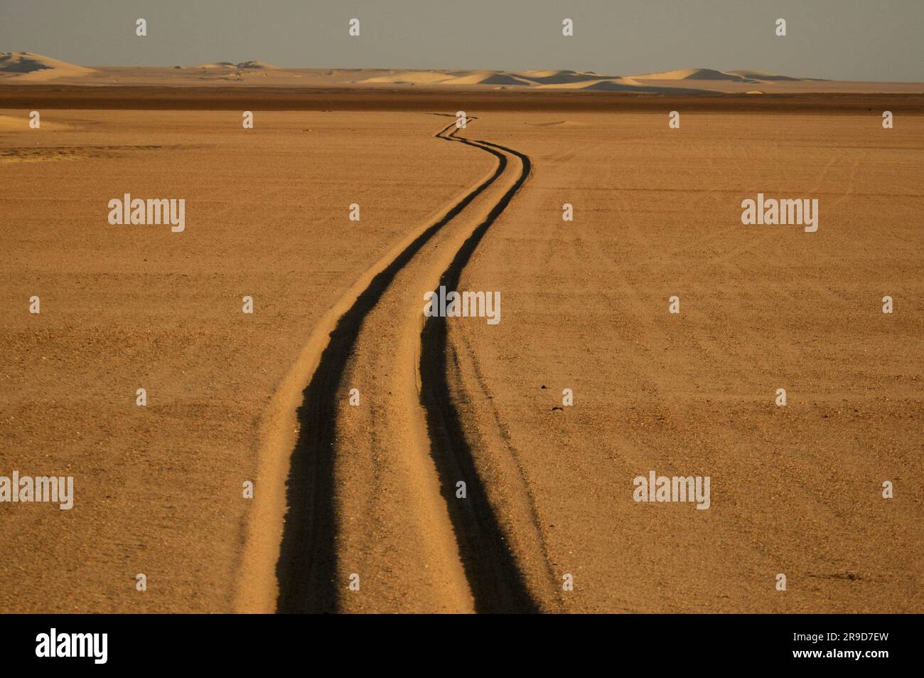 Piste per auto, Skeleton Coast Camp, Wilderness Safaris, Skeleton Coast National Park, Kaokoland, Kunene Region, Namibia Foto Stock