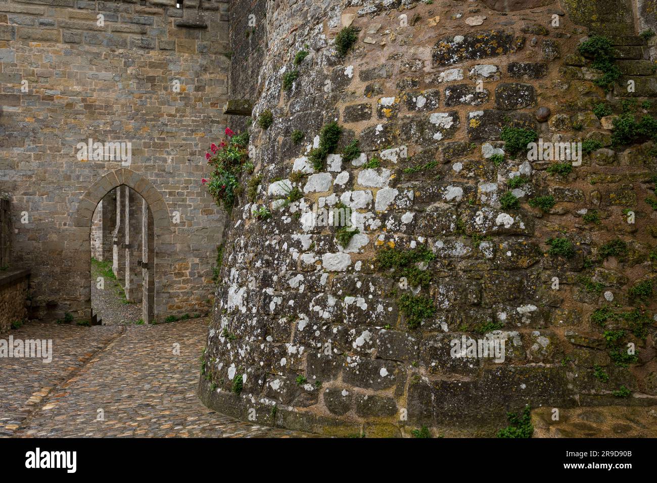 Mura medievali di Carcassonne, città fortificata in Francia Foto Stock