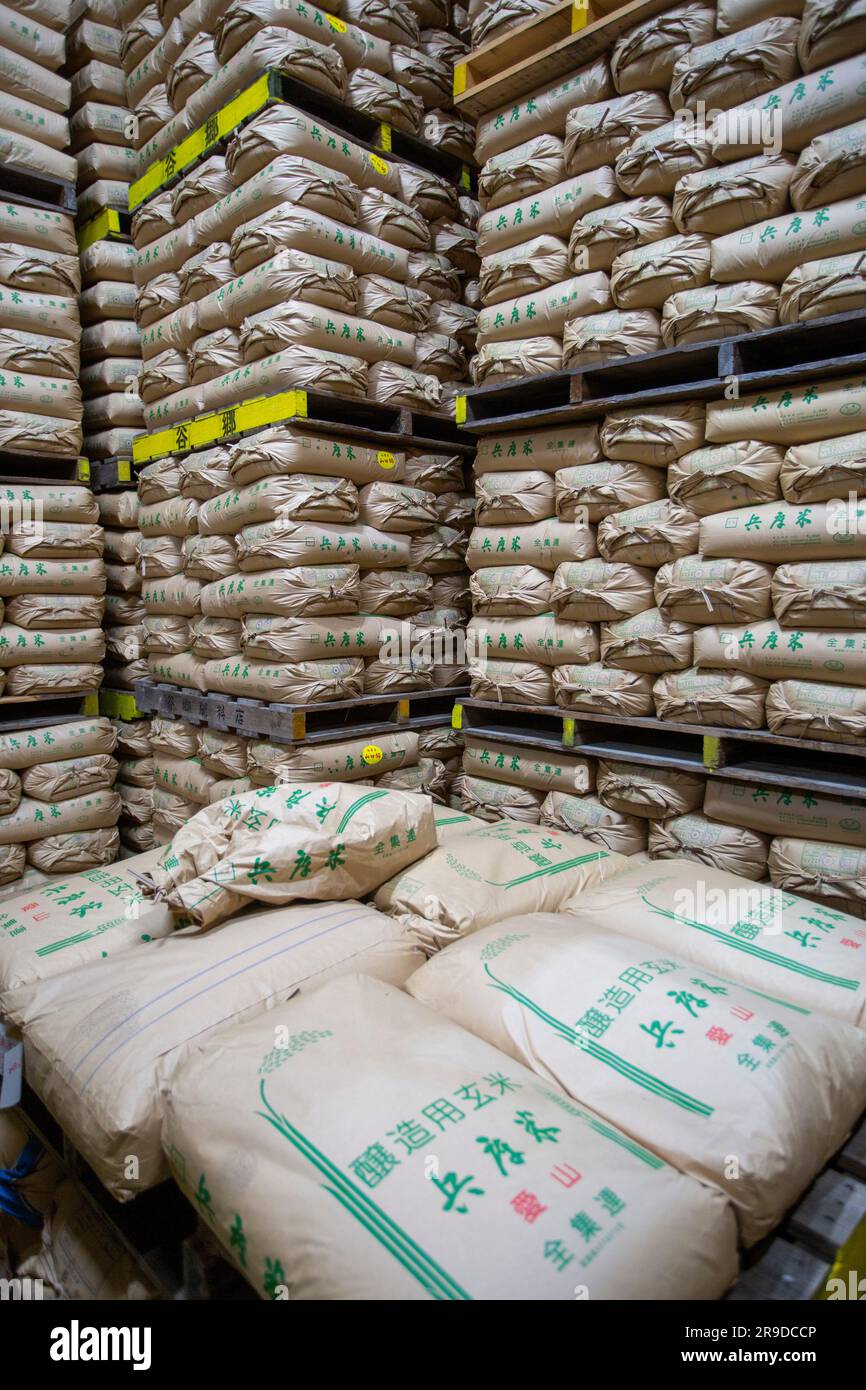 Giappone/prefettura di Hyogo/produzione di sake giapponese/sacchetti di riso prodotti per la produzione di sake giapponese. Foto Stock