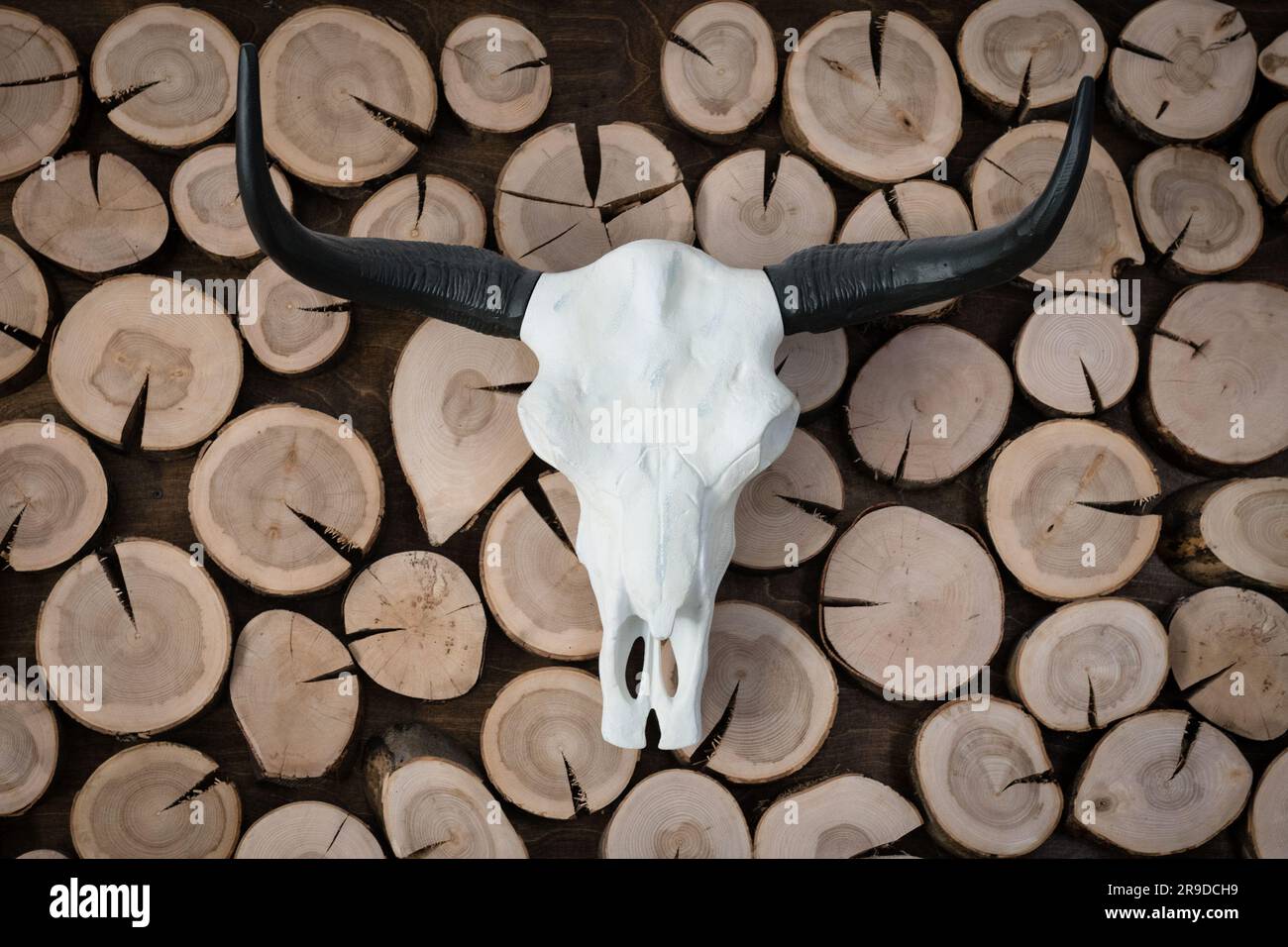 Teschio di toro sulla parete con sfondo in legno Foto Stock
