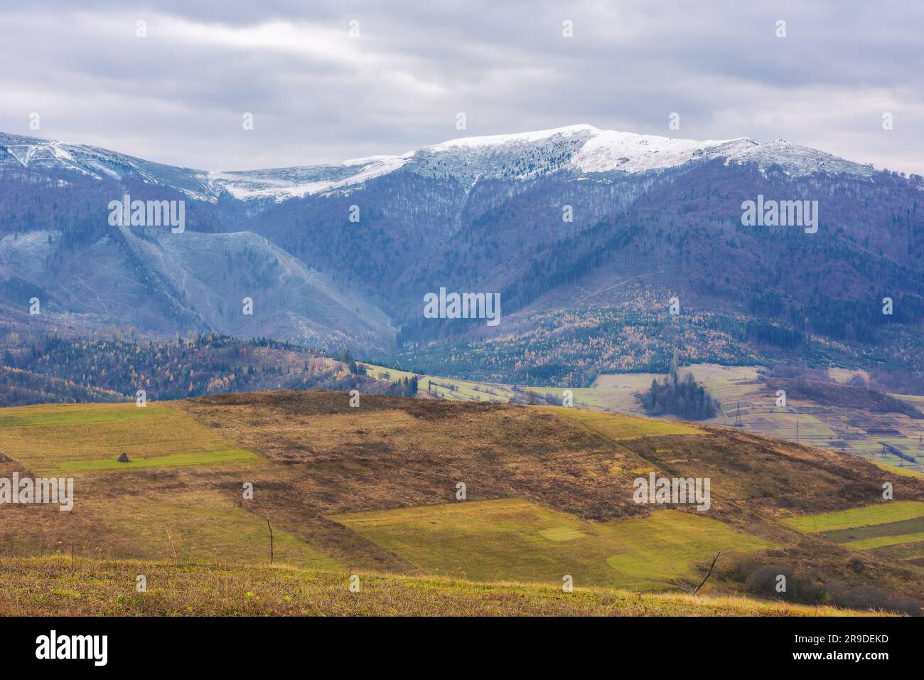 catena montuosa con cime innevate. freddo scenario di novembre della campagna dei carpazi Foto Stock