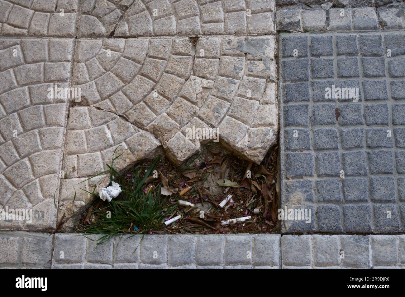 Un marciapiede con mattoni rotti a causa del tempo e della mancanza di manutenzione che, oltre a costituire un pericolo per i pedoni, si accumula sporcizia Foto Stock