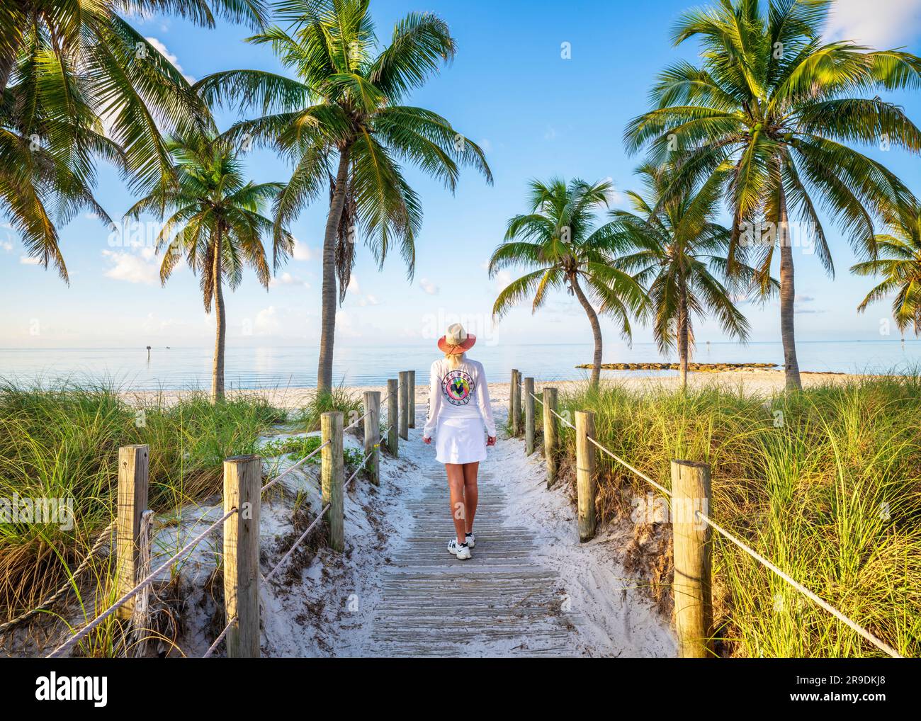 Smathers Beach, Sunrise splendidamente incorniciato da Palm Trees Key West, Florida, USA Foto Stock