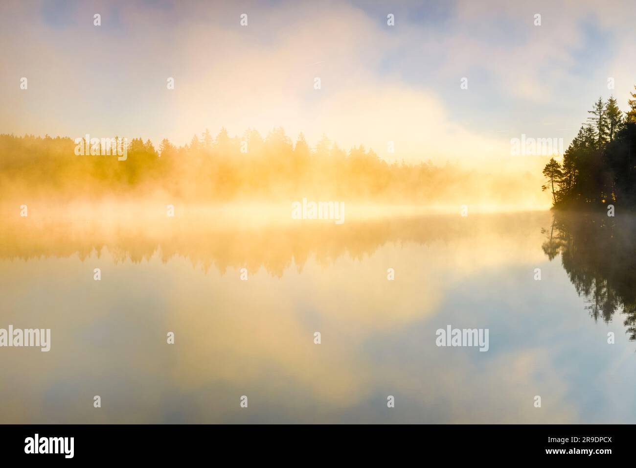 Alba con nebbia sul tranquillo lago di brughiera Etang de la Gruere nel cantone del Giura, Svizzera Foto Stock