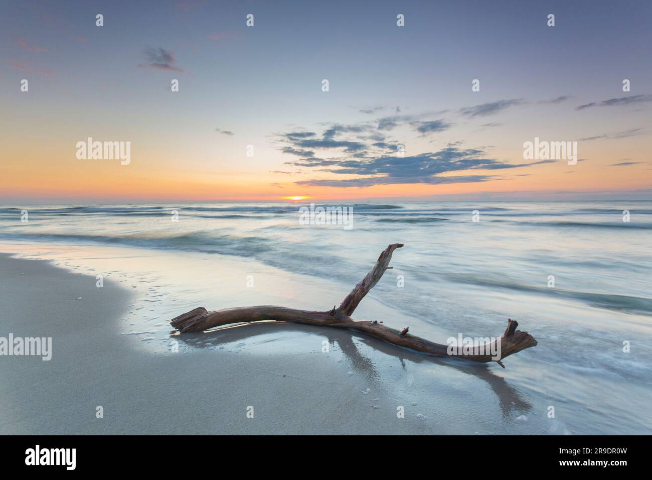 Tramonto su Darss West Beach, Parco Nazionale Vorpommersche Boddenlandschaft, Fischland-Darss-Zingst, Meclemburgo-Pomerania occidentale, Germania Foto Stock