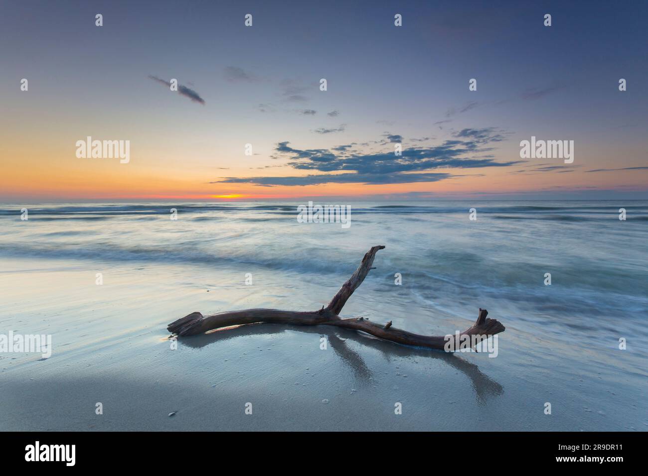 Tramonto su Darss West Beach, Parco Nazionale Vorpommersche Boddenlandschaft, Fischland-Darss-Zingst, Meclemburgo-Pomerania occidentale, Germania Foto Stock