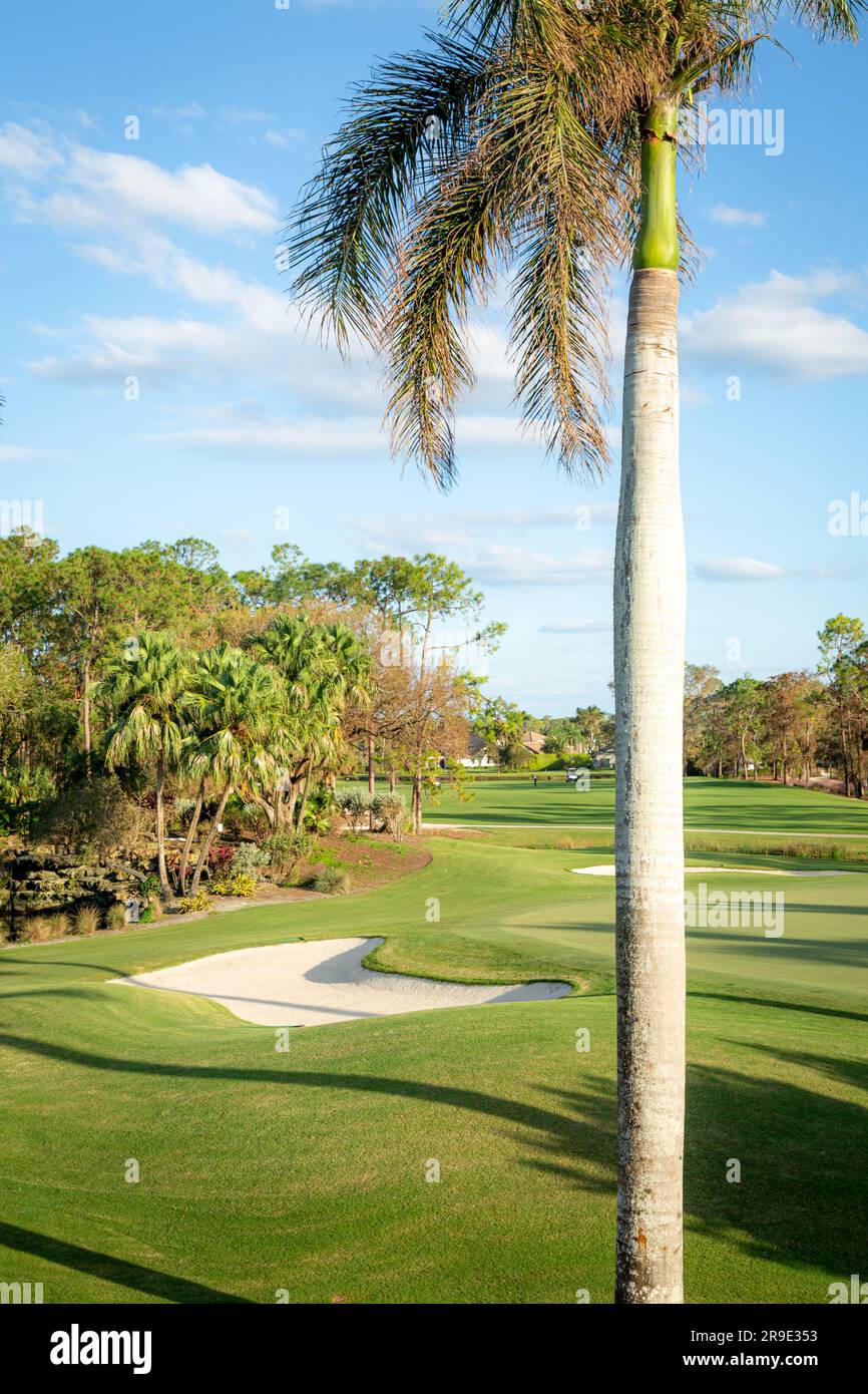 Trappola di sabbia e fairway al Quail Creek Country Club, Naples, Florida, USA Foto Stock