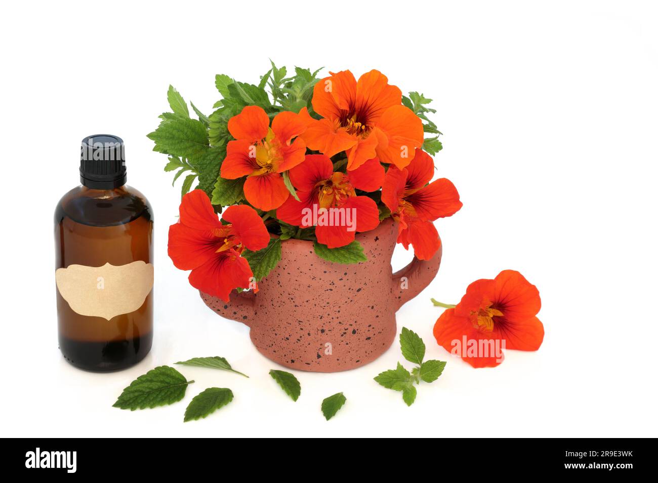 Nasturtium e balsamo al limone fiori e foglie con bottiglia di olio essenziale. Usato nella medicina a base di erbe fiore come un rimedio per raffreddore e influenza, tratta la bronchite e Foto Stock