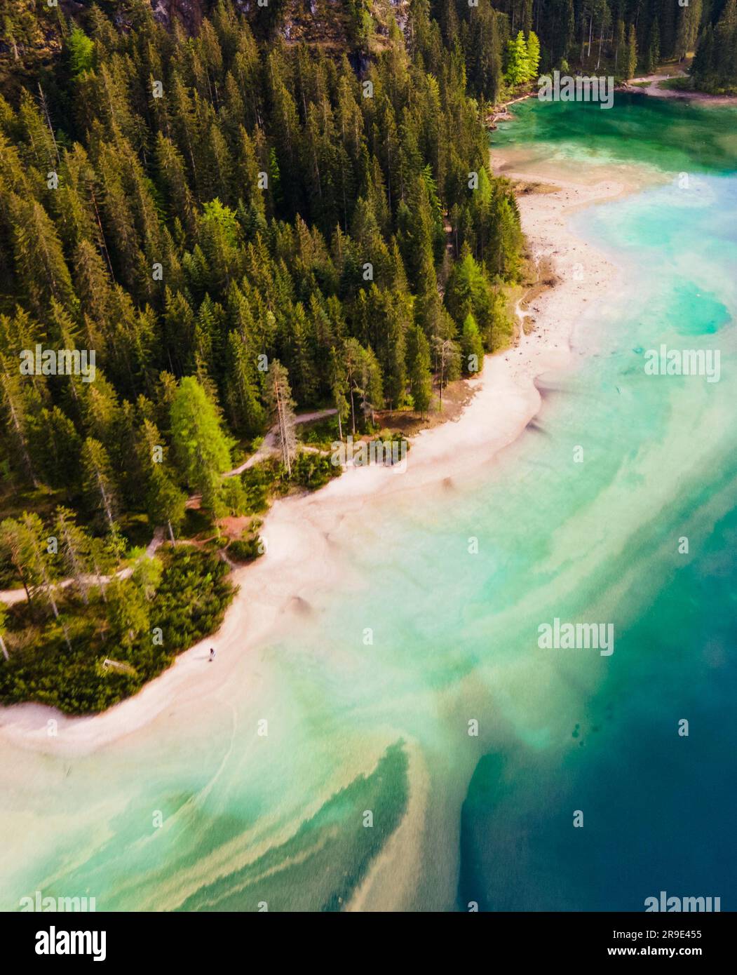 Paesaggio aereo di alberi su una spiaggia bianca accanto a un lago di montagna limpido e tranquillo. Fotografia con droni. Foto Stock