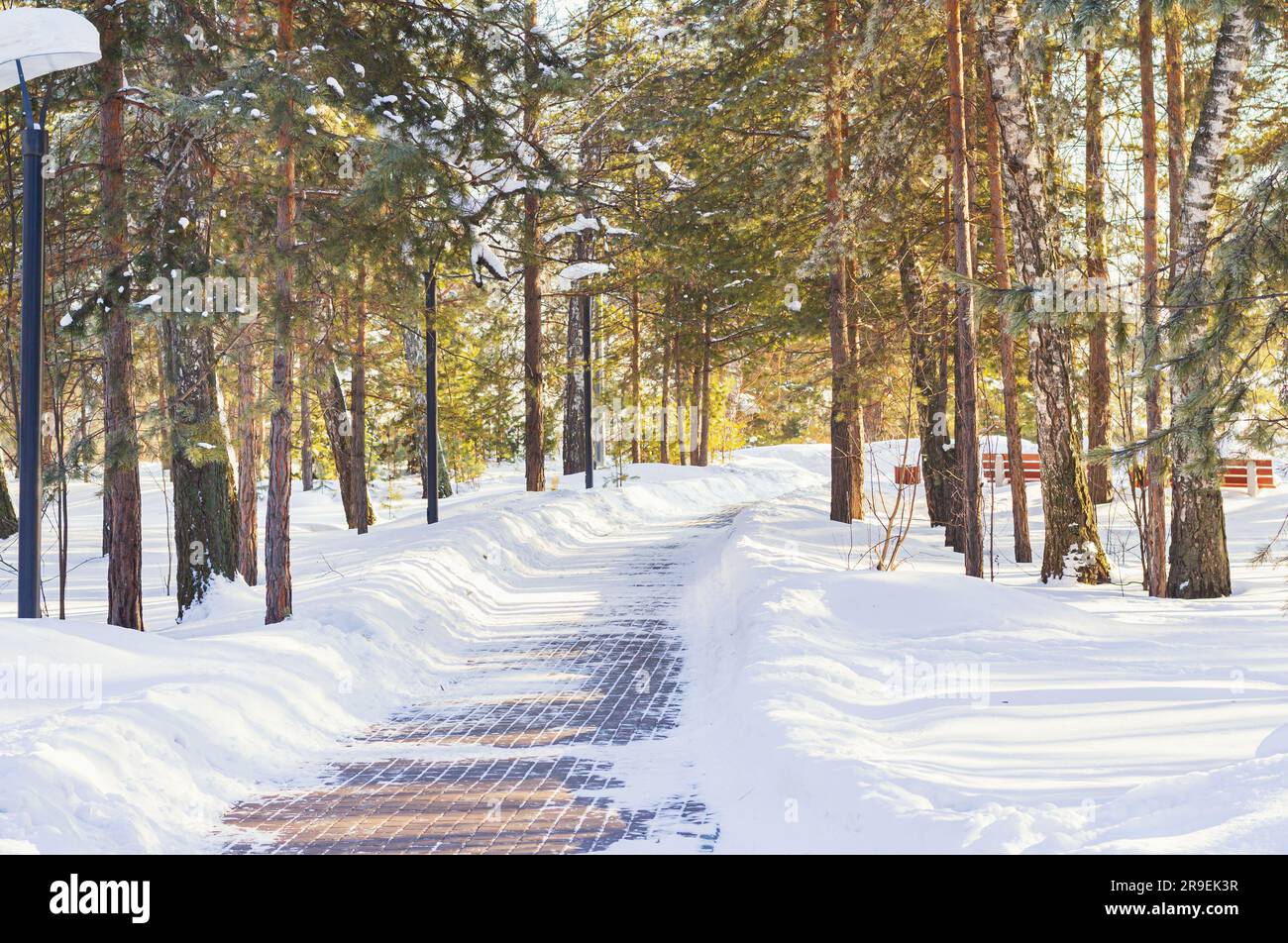 sentiero nel parco innevato nelle fredde mattine invernali. Lanterna innevata su palo di metallo, panca vuota, rami di alberi. Concetto di solitudine, tranquillità, relax Foto Stock