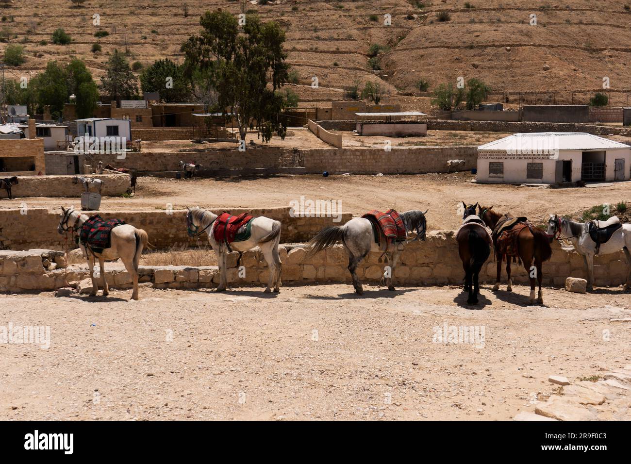 Luogo di riposo per cavalli a Petra. I cavalli sono lì per aiutare i turisti a scoprire più facilmente questo bellissimo sito archeologico. Foto Stock