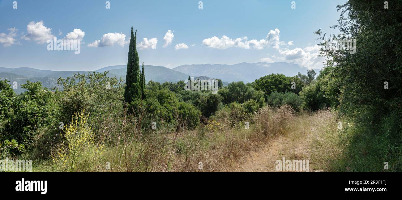 Percorso antico attraverso la campagna con arbusti, erba e alberi, con montagne lontane all'orizzonte, Cefalonia, Grecia Foto Stock