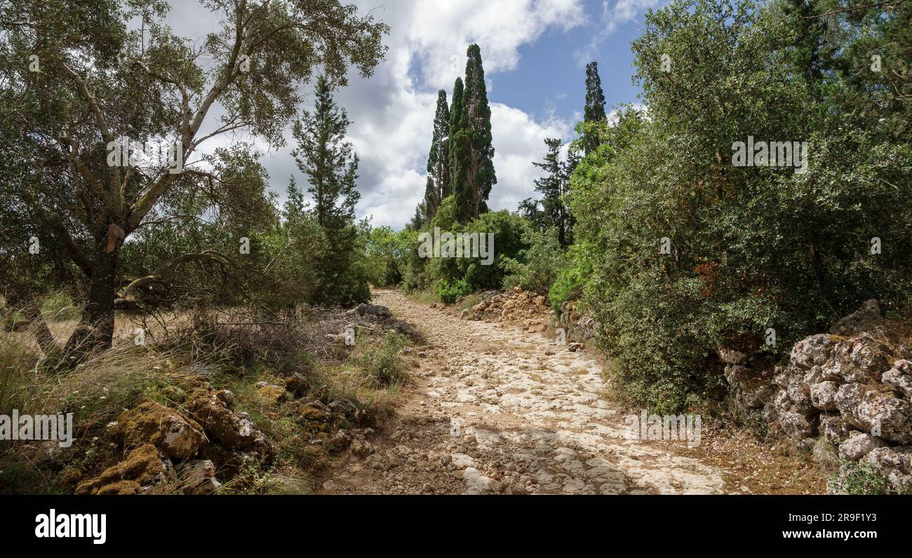 Antico sentiero attraverso la campagna con arbusti, erba e alberi, Cefalonia, Grecia Foto Stock