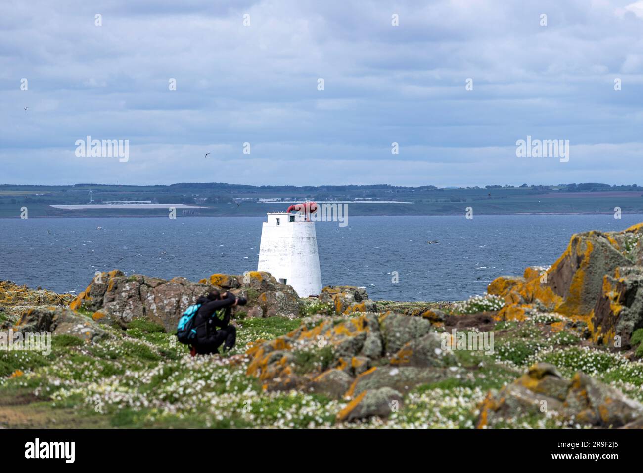 Foghorn, Isola di maggio, Firth of Forth, Scozia, Regno Unito Foto Stock