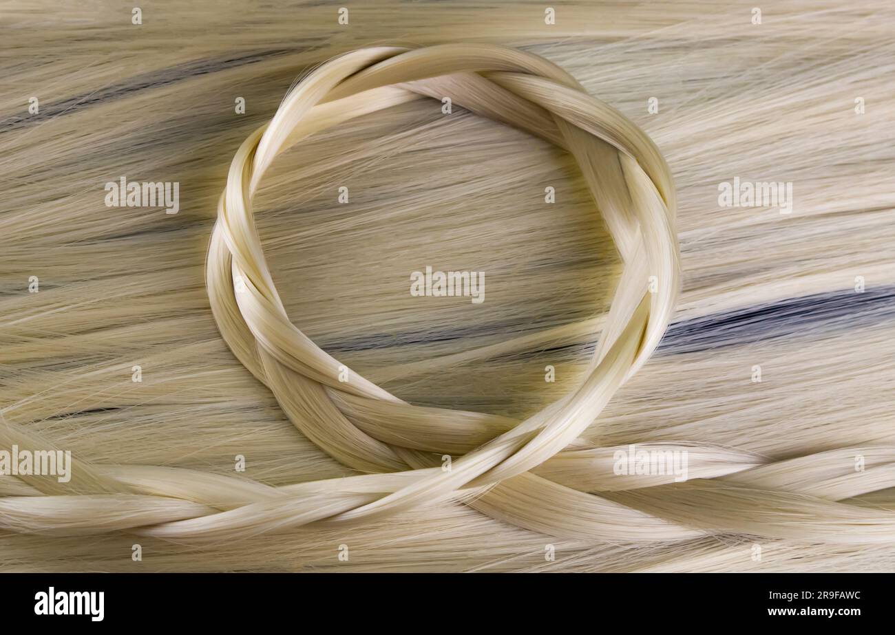 Capelli biondi, treccia, tress Foto Stock