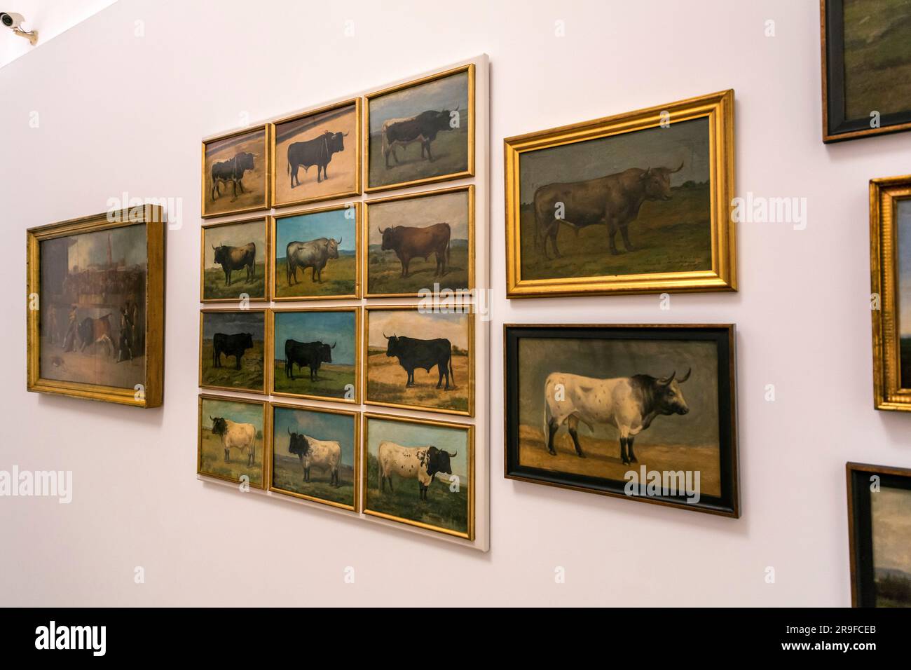 Siviglia, Spagna-24 febbraio 2022: Galleria della Plaza de Toros de la Real Maestranza de Caballeria de Sevilla, la famosa arena della città. Foto Stock