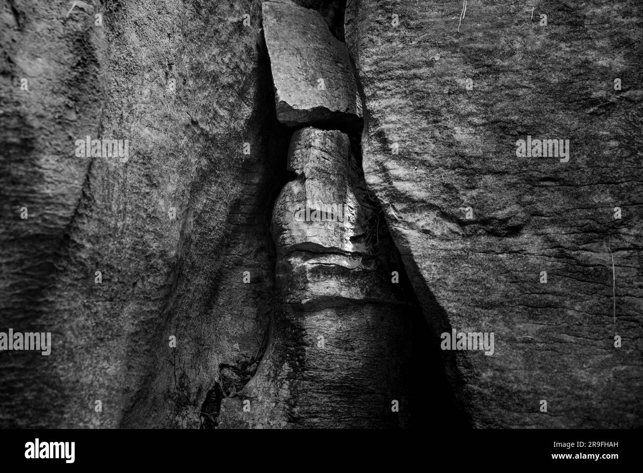 The Famous Face in Labyrinth Rocks, una serie di canyon di calcare vicino a Takaka, Golden Bay, Tasman, South Island, nuova Zelanda. Foto: Rob Watkins Foto Stock