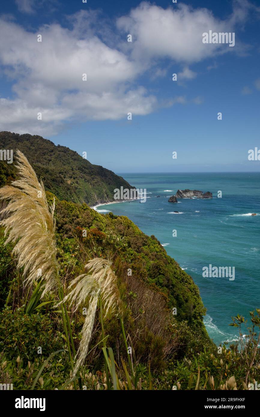 La vista sul Mare di Tasman da Knights Point Lookout, West Coast, South Island, nuova Zelanda. Foto: Rob Watkins Foto Stock