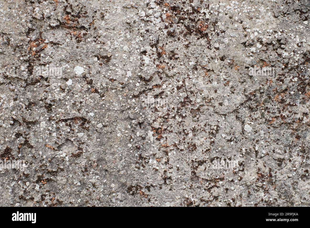 Immergiti nel capolavoro della natura: Un'accattivante miscela di rocce con affascinanti texture di sfondo. Foto Stock