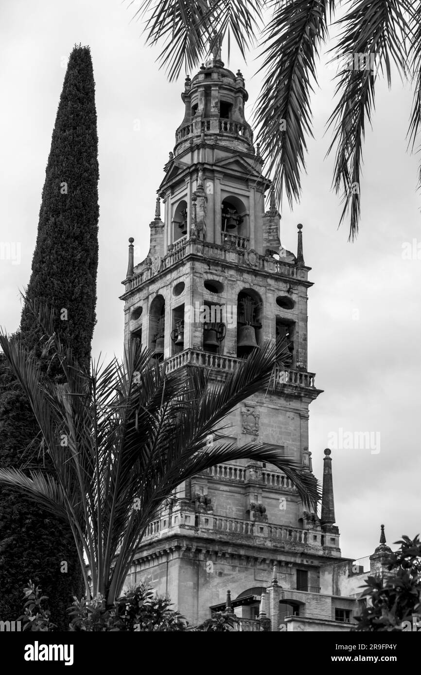 Vista esterna e dettagli decorativi dalla magnifica Moschea di Cordova. Cattedrale di Mezquita, Andalusia, Spagna. Foto Stock