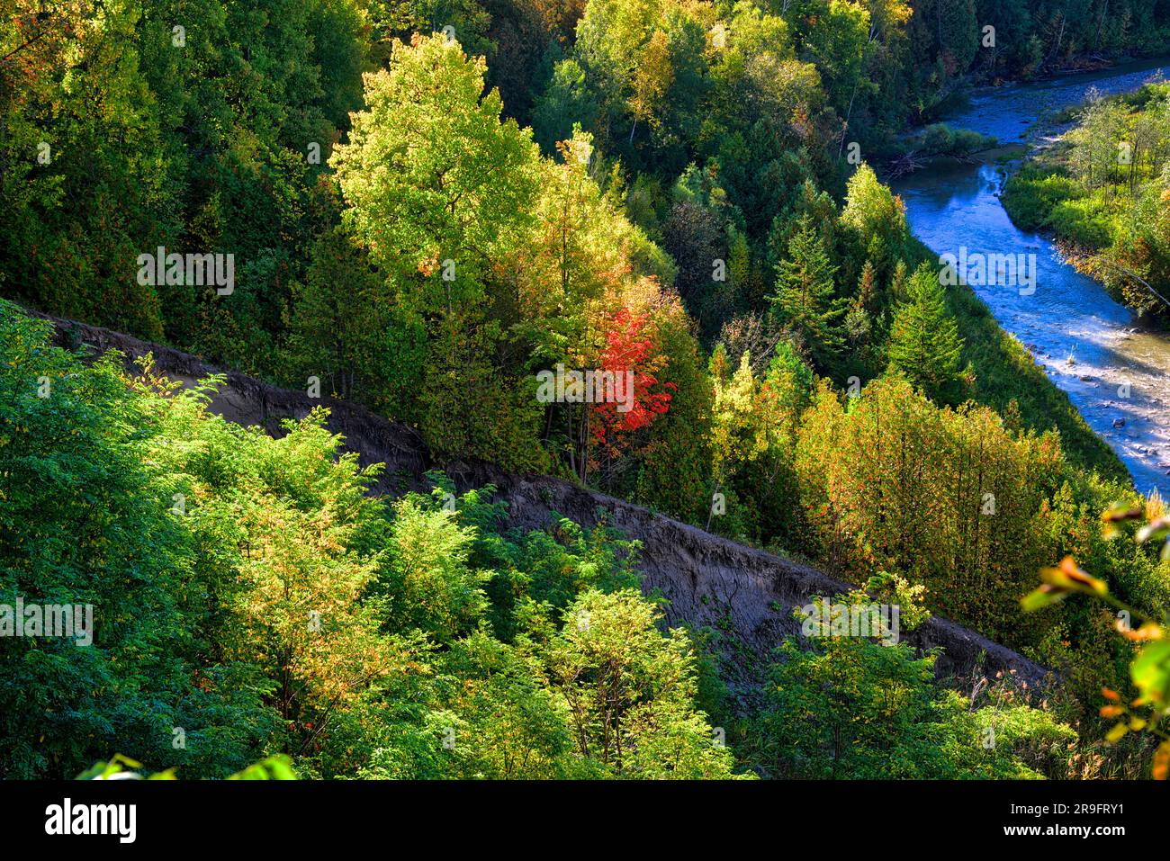Vista aerea della valle del fiume in autunno con una sponda del fiume Foto Stock